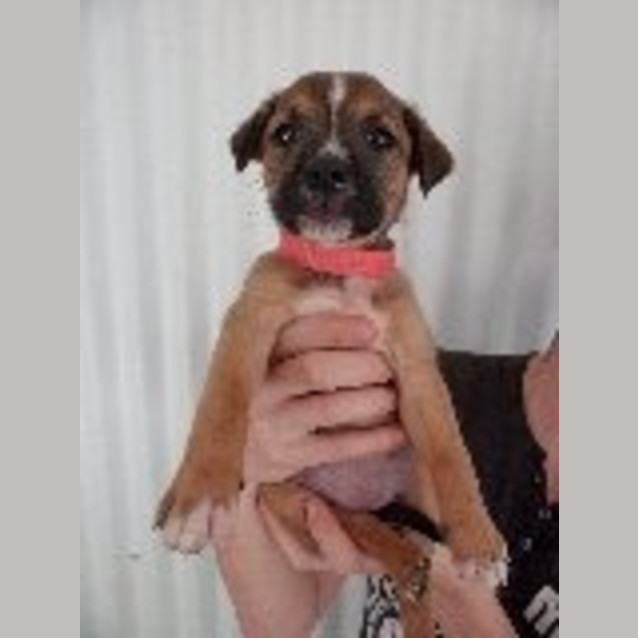Photo of Greta