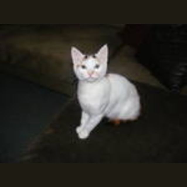 Photo of Ivy