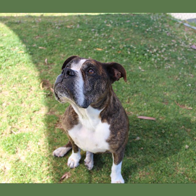 Photo of Maggie