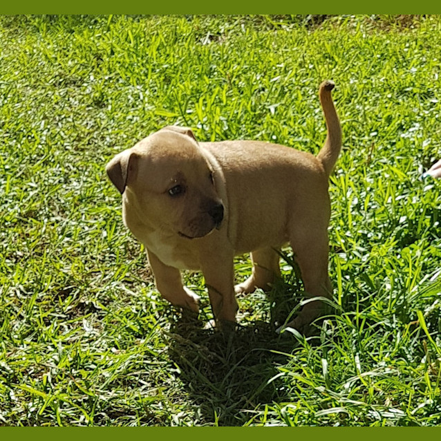 Photo of Hope