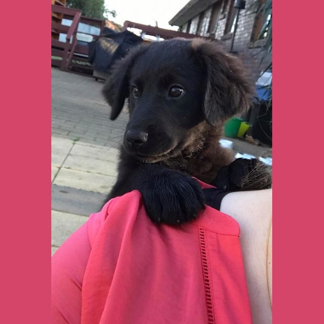 Photo of Luna