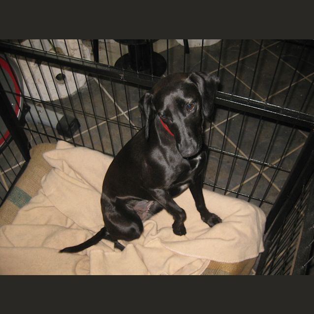 Photo of On Trial  Twinkle