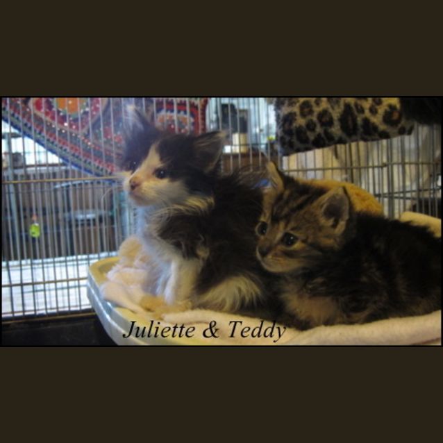 Photo of Juliette