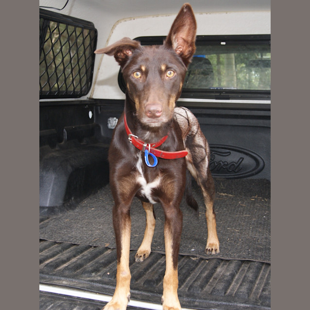 Photo of Lola (On Trial)