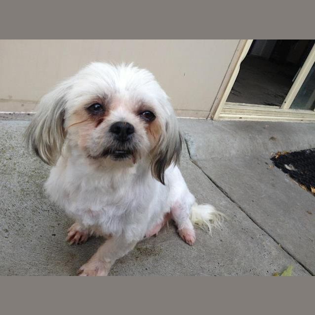 Photo of Lola