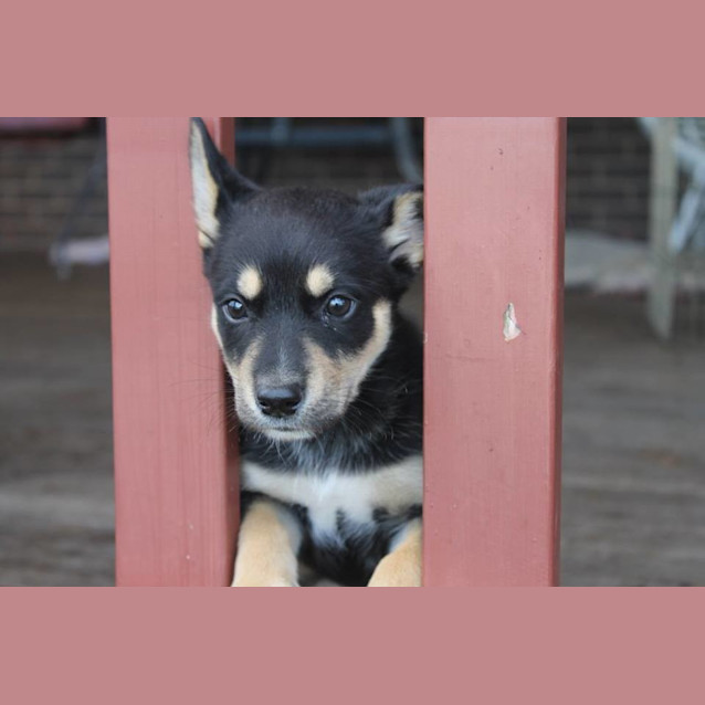 Photo of Selene