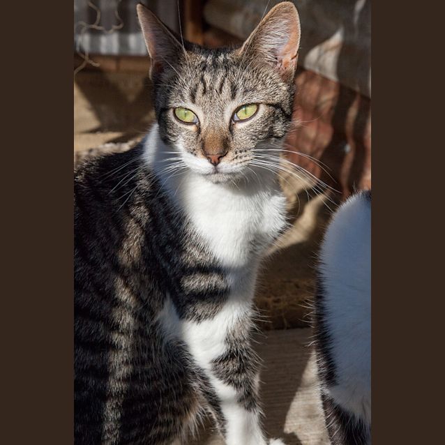 Photo of Glenda