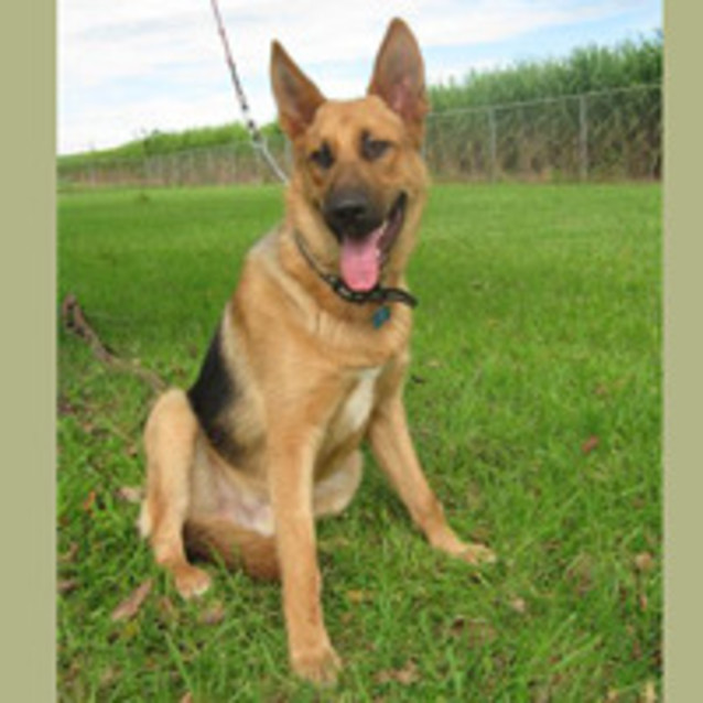 Photo of Max