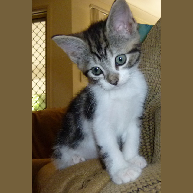 Photo of Mimi