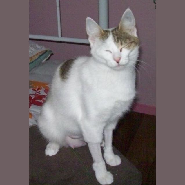 Photo of Buffy