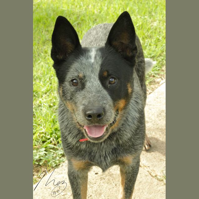 Photo of Max