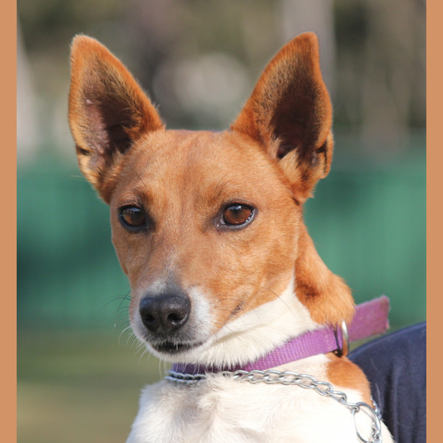 Photo of Bob   On Hold