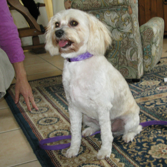 Photo of Alby