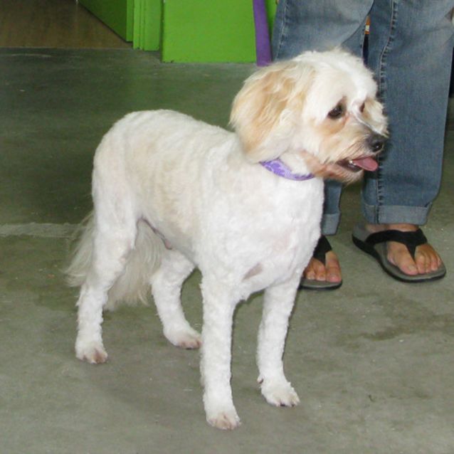 Photo of Alby