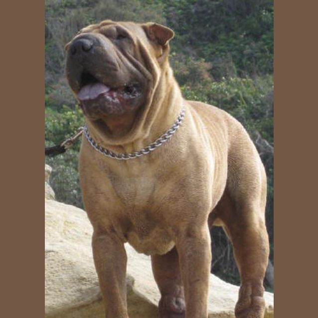 Photo of Bj Is Trying A New Home !!