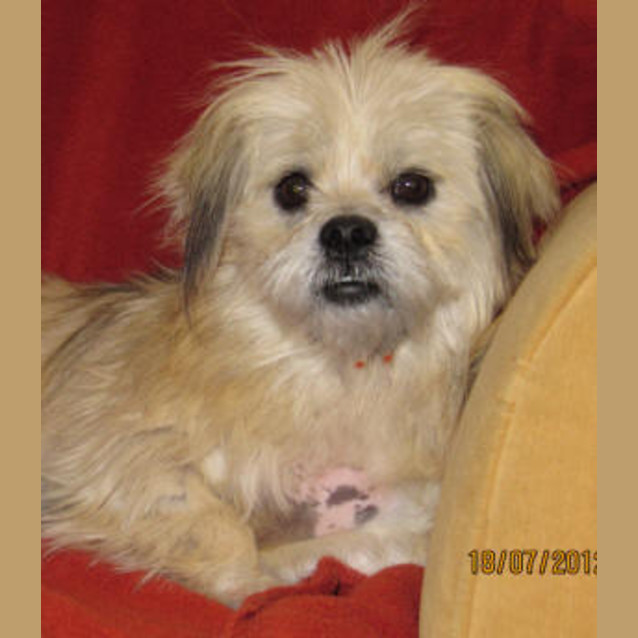 Photo of Bronte