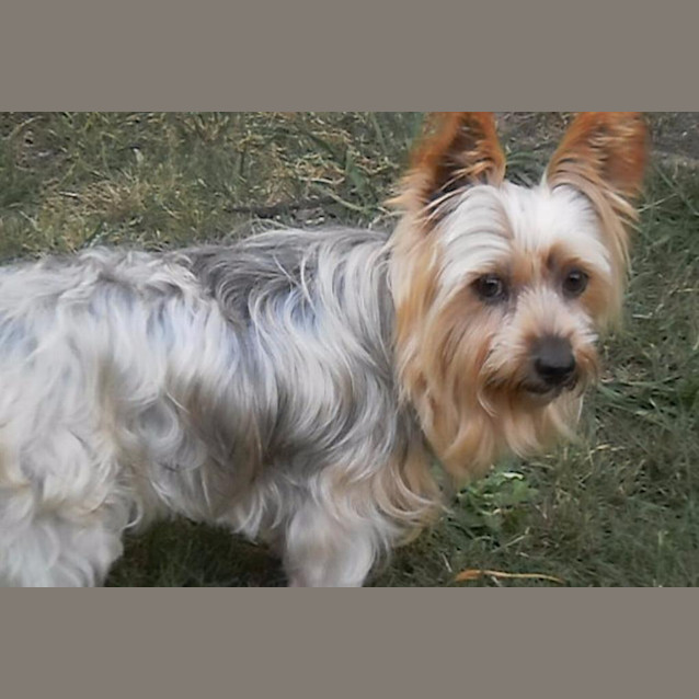 Photo of Delilah...Delightful Companion...