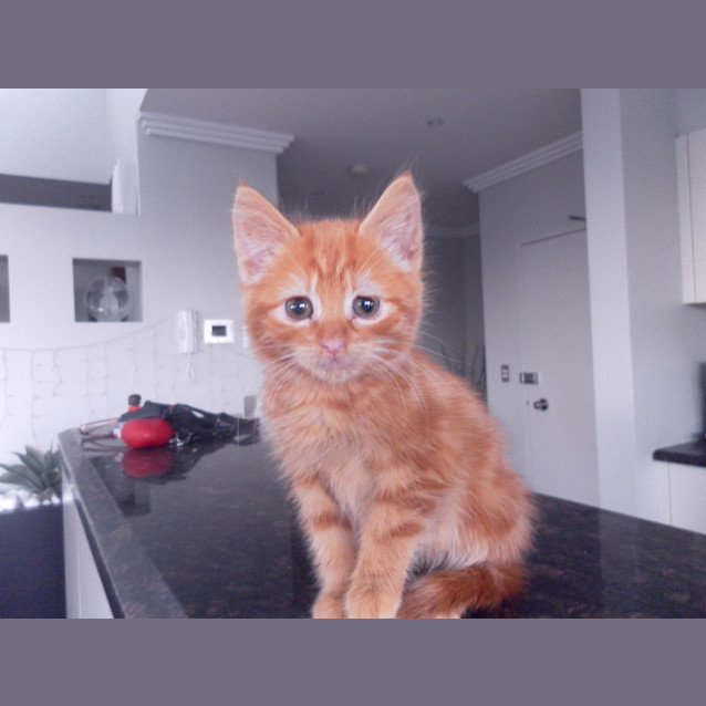 Photo of Snuggy
