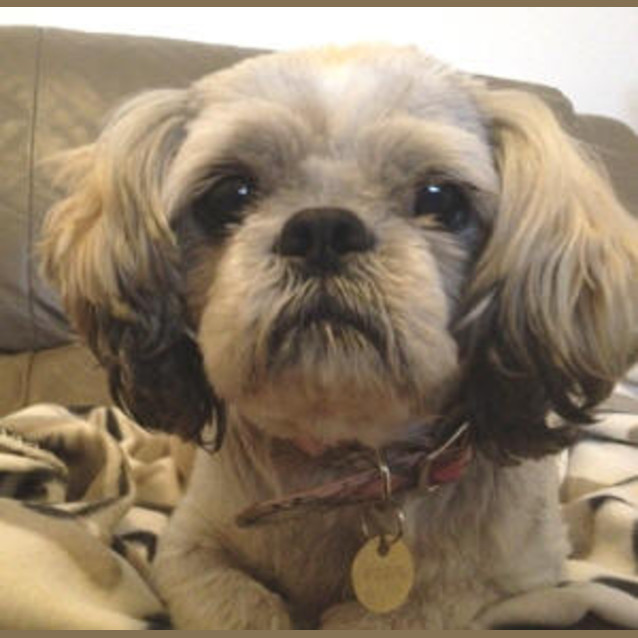 Photo of Lou Lou