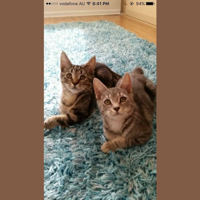 Photo of Isla & Ciri