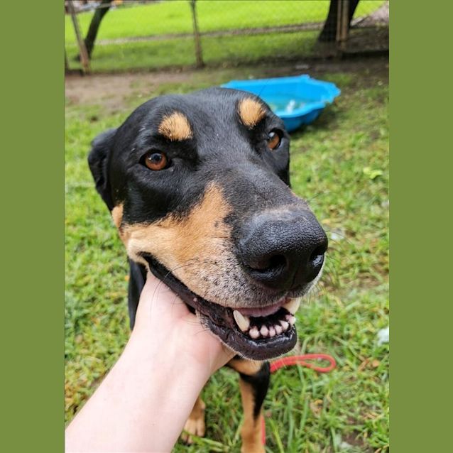 Photo of Rudi