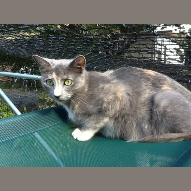 Photo of Portia