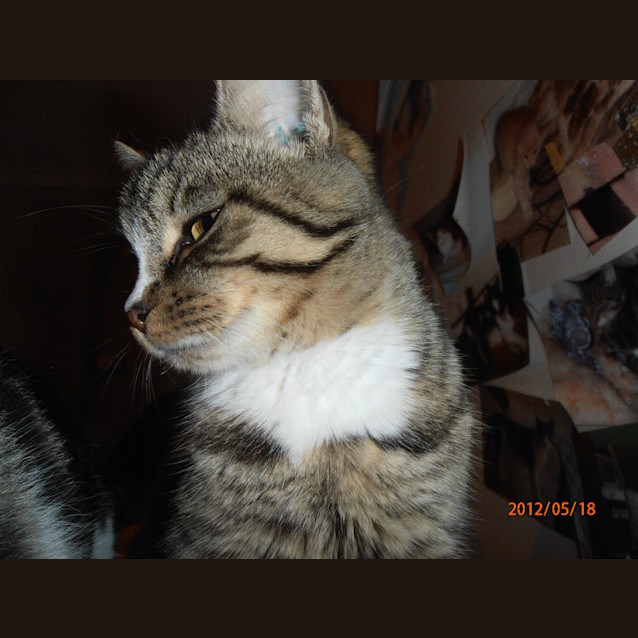 Photo of May