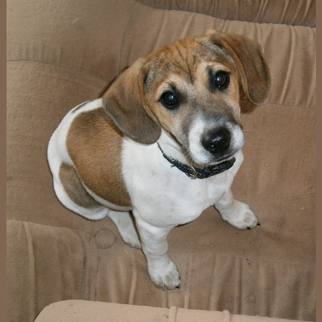 Photo of Boulder *On Trial In His New Home*