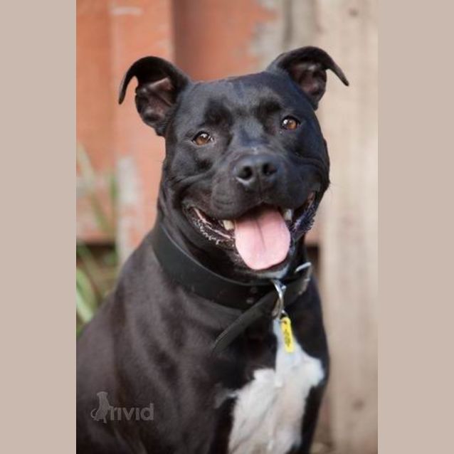 Photo of Jazz