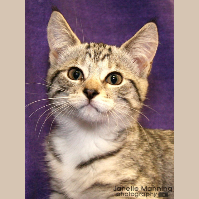 Photo of Frankie