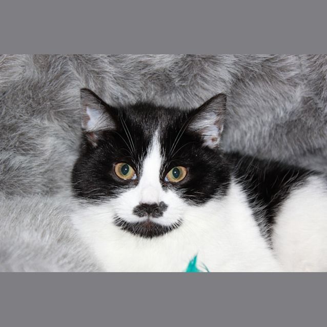Photo of Moey