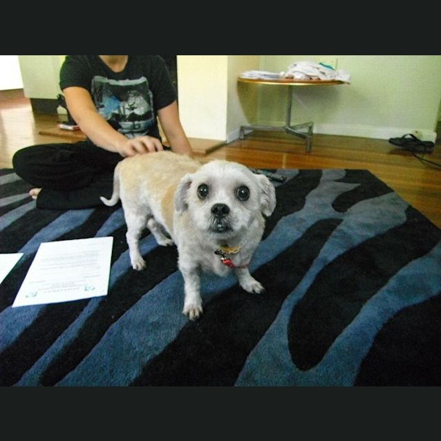 Photo of Max