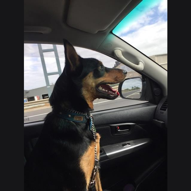 Photo of Haych **On Trial With My New Family**