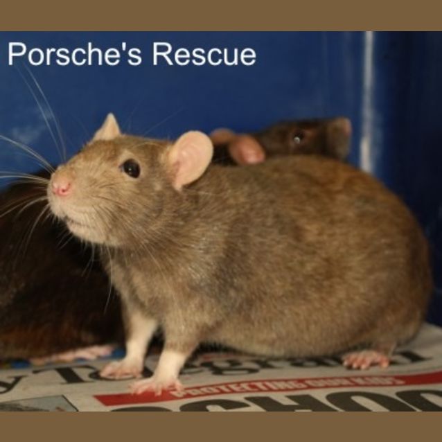 Photo of Latte   On Hold