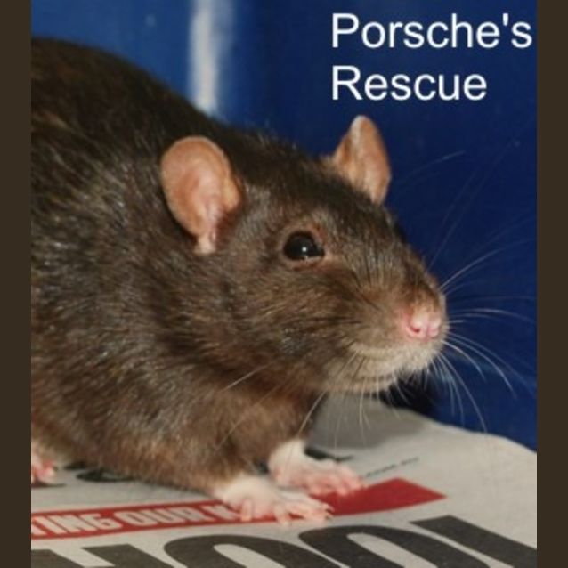 Photo of Espresso  On Hold***