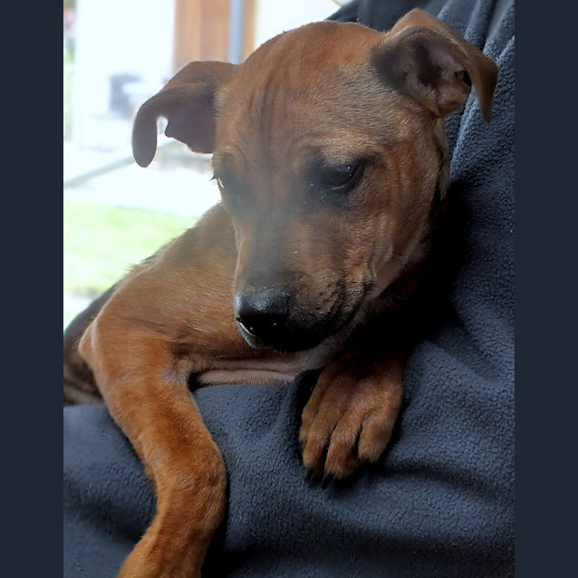 Photo of Bonnie