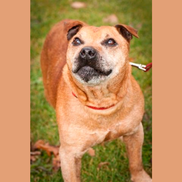 Photo of Harvey