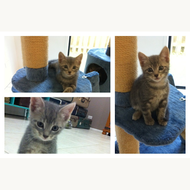 Photo of Mister