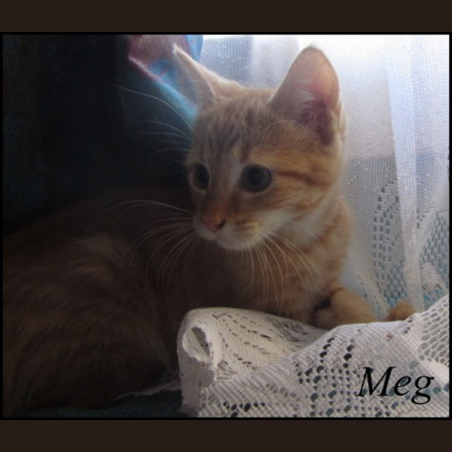Photo of Meg