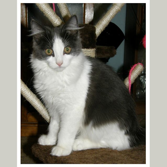 Photo of Charlie