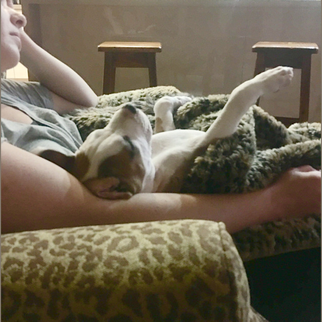 Photo of Marley ** A  Dear Pup **