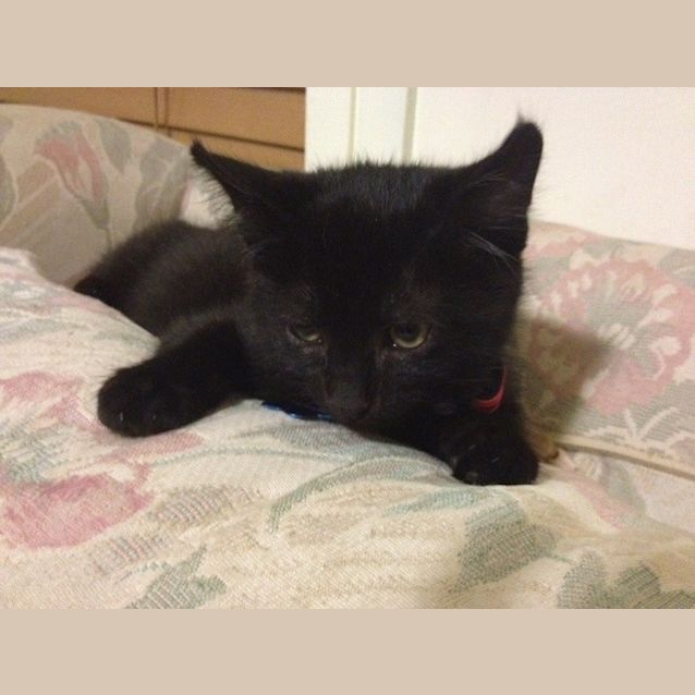 Photo of Billy (On Trial In My New Home)