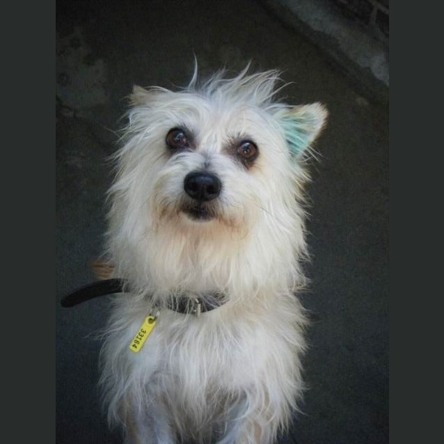 Photo of Mattros (Mattie)