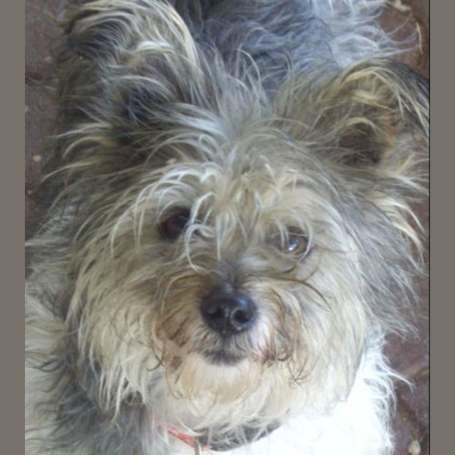 Photo of Buster