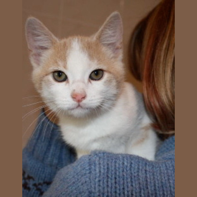 Photo of Simon