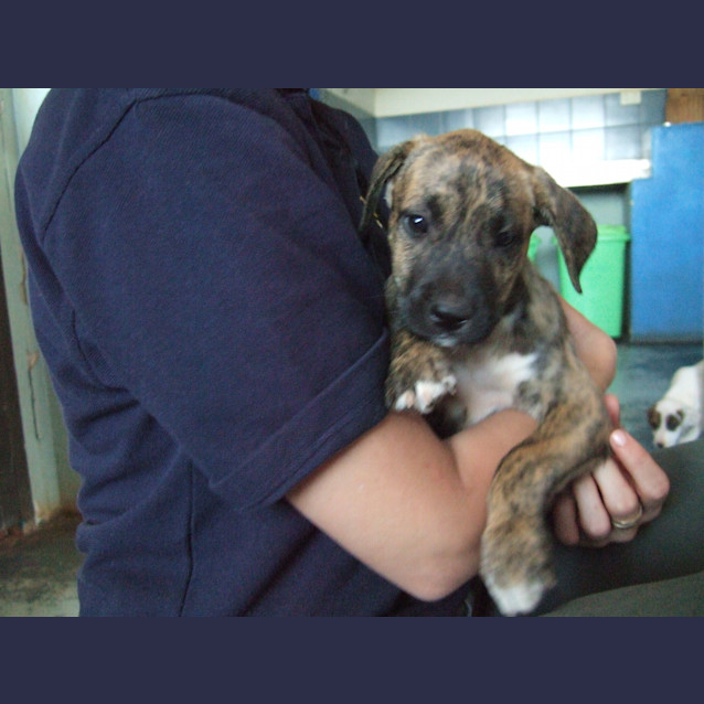 Photo of Rumble