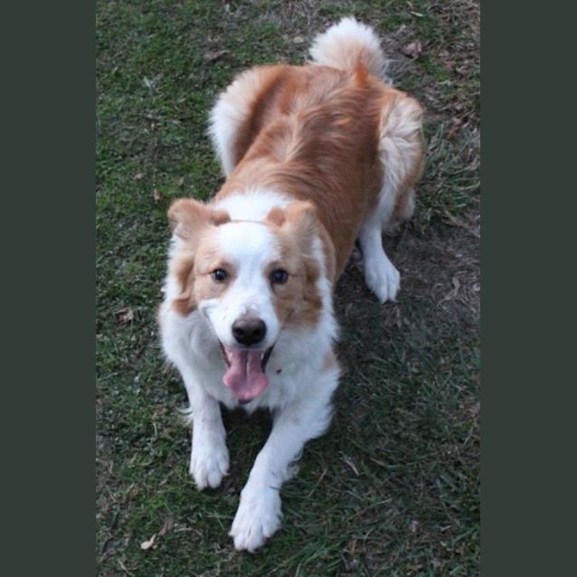 Photo of Lilly