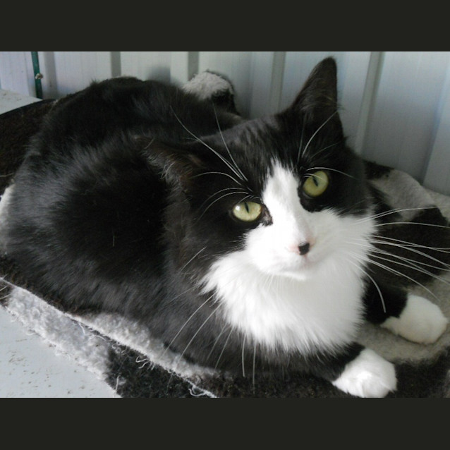 Photo of Letisha *Adopted : ) *