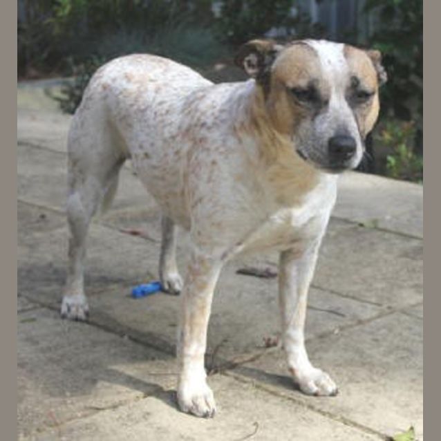 Photo of Sol Is Trying A New Home!!