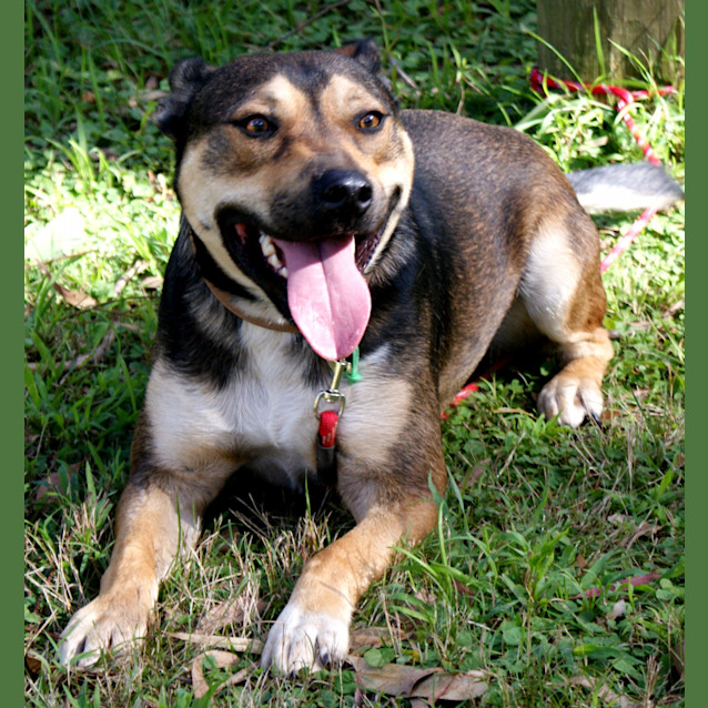 Photo of Tyson